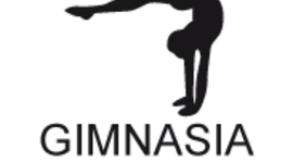 Timeline: Breve recorrido por la Gimnasia Artística