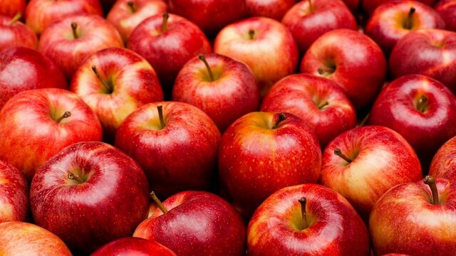 Apfel