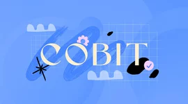 Timeline: COBIT FRAMEWORK