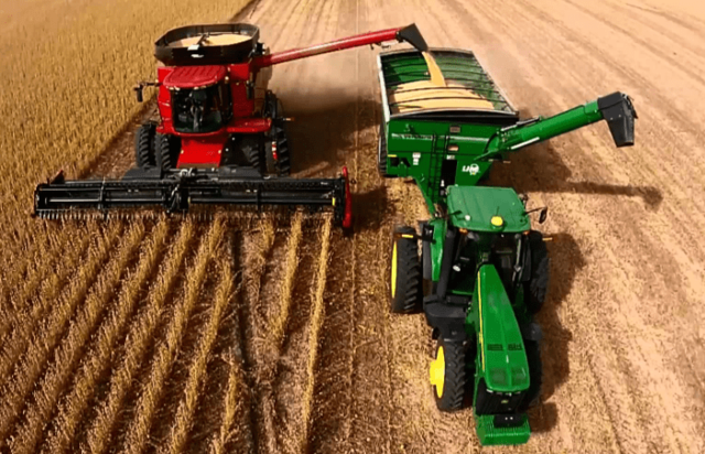 agricultura intensiva