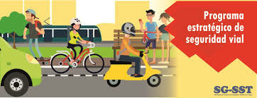 Resolución 4101 de 2004