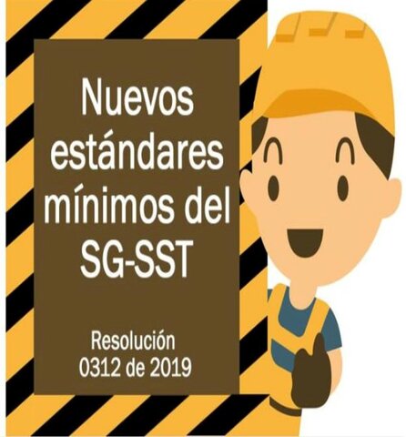 Resolución 0312 de 2019