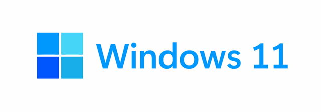 Windows 11