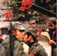 Revolució dels Clavells