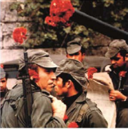 Revolució dels Clavells (Portugal)