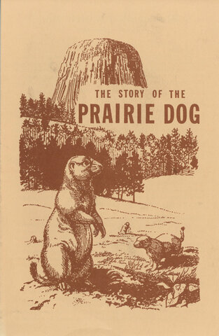 Devil’s Tower, Wyoming, named first national monument