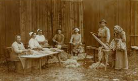 Desarrollo de la industria textil