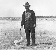 Pelican Island, Florida named first national wildlife refuge