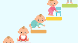 Timeline: Milestone Assignment: Infant