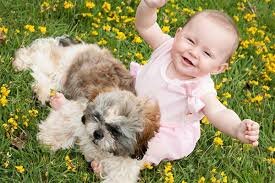 12 Months: Content (Semantics)