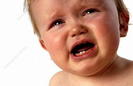 Aware of strangers and unfamiliar situations