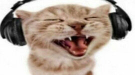 Timeline: Road to Revolution