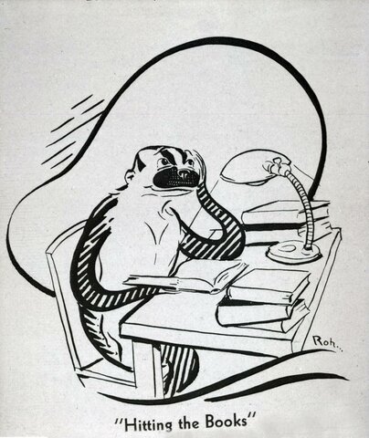 Bucky earned copyright