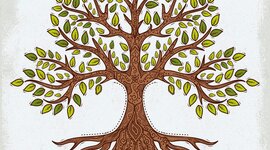 Timeline: Mi línea del tiempo