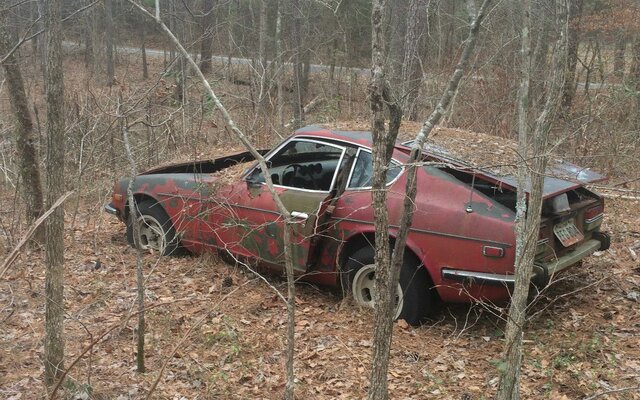 Datsun discovered by a park ranger