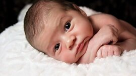 Timeline: vida de gessly