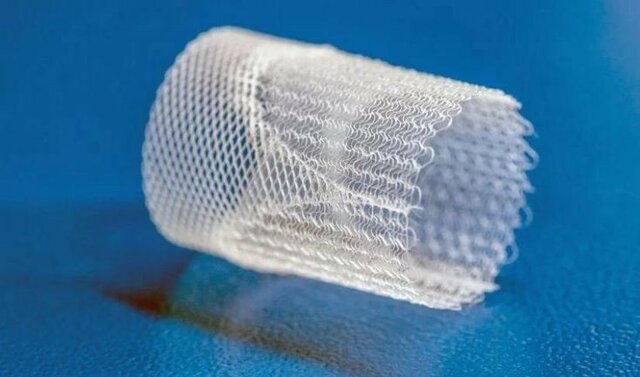 Válvulas cardíacas