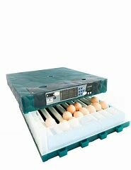 la incubación artificial