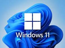 Windows 11