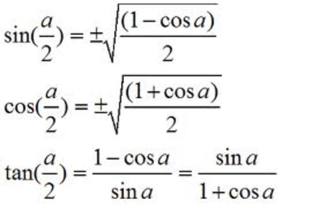 Scientific Supervision