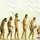 Evolucio comic1