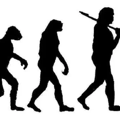 Timeline: LÍNIA DEL TEMPS D'HISTÒRIA