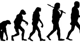 Timeline: LÍNIA DEL TEMPS D'HISTÒRIA