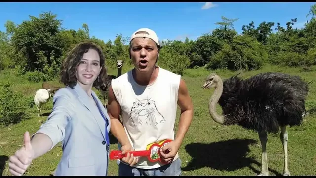 Gaur egungoko polemikak