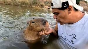 Cuestak iragarri du santuario bat eratuko duela Espainian