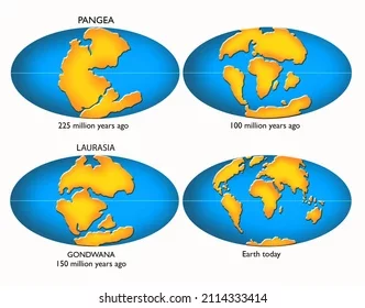 Primer manuscrito de su teoría