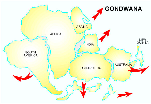 Publica nuevas ediciones