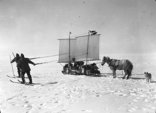 EXPEDICIÓN EN GROENLANDIA