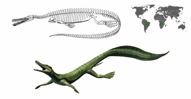 Desarrollo de la teoría y nuevos descubrimientos.
