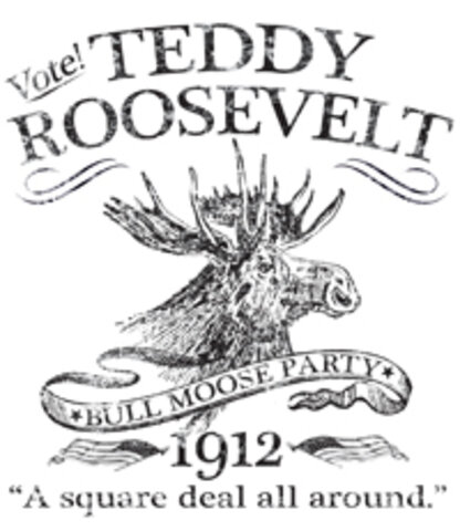 Runs for presidency, unsuccessfully for Bull-Moose Party