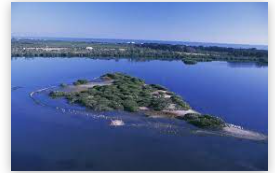 Pelican Island, Florida, named first national wildlife refuge