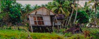 Papua New Guinea Earthquake - Papua New Guinea