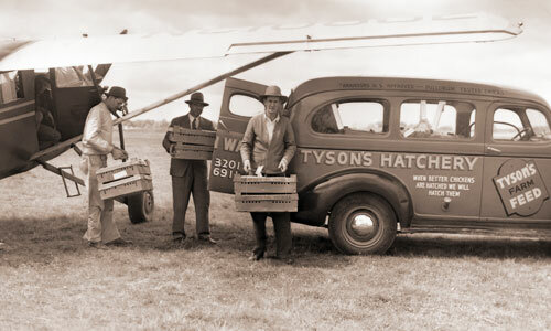 Opening of First Poultry Company