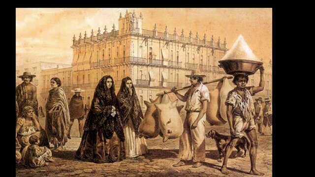 Organización de la colonia