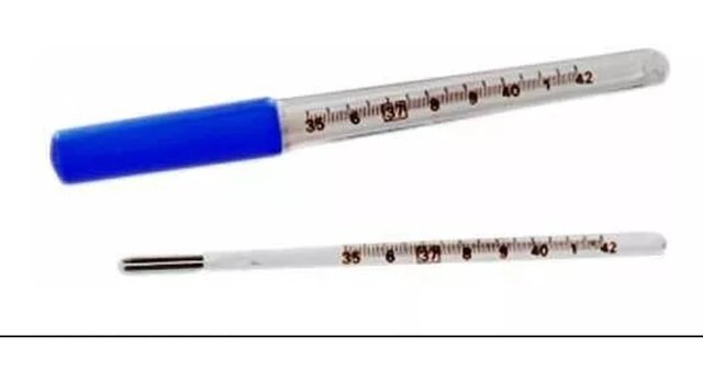 Termómetro de mercurio Daniel Gabriel Fahrenheit desarrolló el termómetro en Holanda.