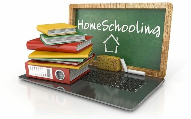 Program for homeschool students