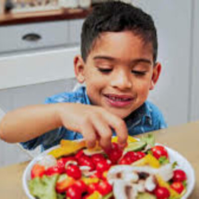 Timeline: Introducción de la alimentación