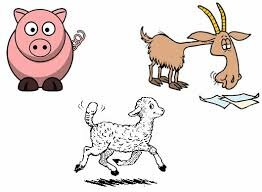 PRIMERS ANIMALS DOMESTICATS