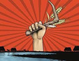 REVOLUCIÓ DEL NEOLÍTIC