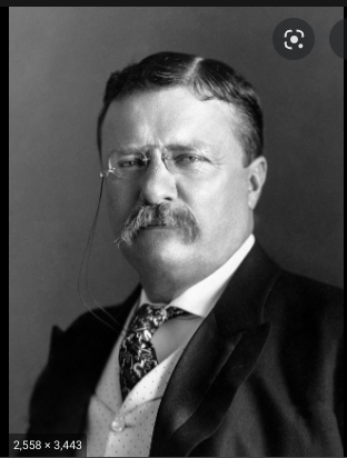 teddy roosevelt is born
