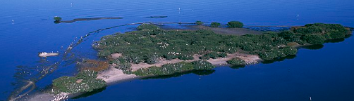 pelican island florida named first national wildlife refuge