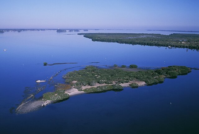 Pelican Island, Florida named first national wildlife refuge