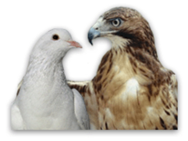 Hawks and Doves