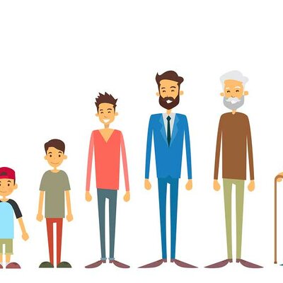 Timeline: Guías de desarrollo