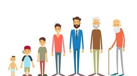 Timeline: Guías de desarrollo