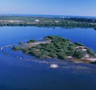Pelican Island, Florida named first national wildlife refuge